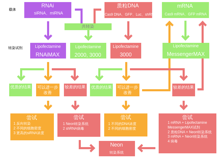 转染试剂决策树