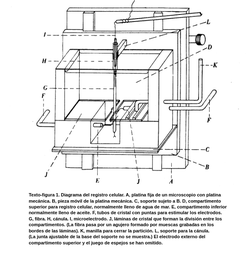 Diagrama de la卡马拉de ensayo con轴突美国por los doctores Hodgkin y Huxley. La cámara de ensayo es un tanque cúbico con dos compartimentos. El de arriba contiene agua de mar y el de abajo, aceite. Los compartimentos están separados el uno del otro por láminas de cristal con un pequeño hueco entre ellas. La fibra pasa entre estas láminas de cristal. La fibra se conecta a un electrodo en el compartimento inferior y a otro electrodo que está en el interior de la cánula. La cánula está encima de la cámara de ensayo, sujeta por una varilla. La cámara de ensayo puede moverse arriba y abajo por medio de una platina mecánica móvil.
