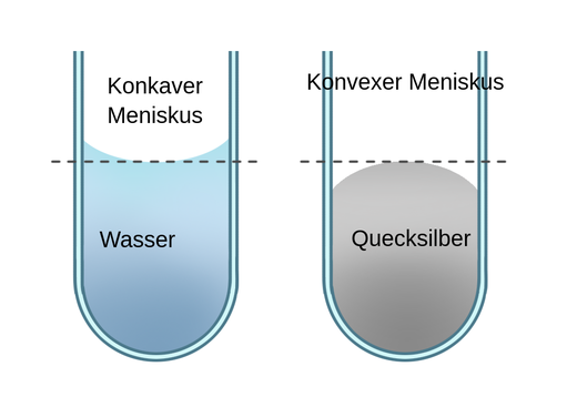 Es sind 2 Reagenzgläser zu sehen, die verschiedene Flüssigkeiten enthalten. Das Reagenzglas auf der linken Seite enthält Wasser. Auf dem Niveau der Flüssigkeit ist eine Linie gezogen. Die Flüssigkeit liegt an den Seiten des Reagenzglases über der Linie und bildet einen konkaven Meniskus. Das Reagenzglas auf der rechten Seite enthält Quecksilber, ein Metall, das bei Zimmertemperatur flüssig ist. Auf dem Niveau der Flüssigkeit ist eine Linie gezogen. Die Flüssigkeit befindet sich an den Seiten des Reagenzglases unterhalb der Linie und bildet einen konvexen Meniskus.