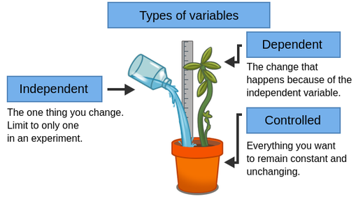 scientific experiments variables