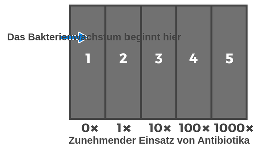 Großes, graues Rechteck, unterteilt in fünf identische Spalten, nummeriert von 1 bis 5. Die Erhöhung der Antibiotika wird jeder Spalte zugewiesen, beginnend mit der Spaltennummer 1 auf der linken Seite mit der 0-fachen Antibiotikakonzentration bis zur 1-fachen, 10-fachen, 100-fachen und 1000-fachen Konzentration für die fünfte Spalte auf der rechten Seite.
