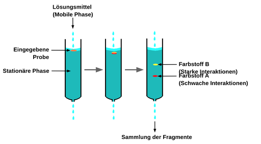 Step 1. The stationary phase is packed in a column. The solvent, which is the mobile phase, is poured into the top of the column, goes through the stationary phase, and drips out the bottom of the column. The loaded sample is placed on top of the stationary phase. Step 2. The mobile phase continues to move through the column. The loaded sample begins to progress down the column and there is some separation of the sample. Step 3. The sample has separated into its component dyes. Dye B is further up the column because the dye had a strong interaction with the stationary phase. Dye A is further down the column because the dye had a weak interaction with the stationary phase. The mobile phase which drips out the bottom of the column is collected in containers. This is called fraction collection.