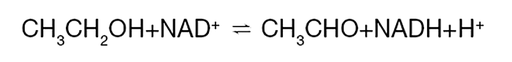 En la parte superior de la imagen, hay un ejemplo en forma de fórmula química de una reacción que usa ADH como catalizador. La fórmula muestra que el etanol se convierte en acetaldehído. Debajo, hay una estructura tridimensional de la alcohol deshidrogenasa.