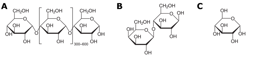 Three images of chemical structures. Image “A” presents three chained structures of glucose unit, where the middle one is put in square brackets with a number 300 to 600. Image “B” presents glucose and galactose structures joined together. Image “C” presents one structure of glucose.