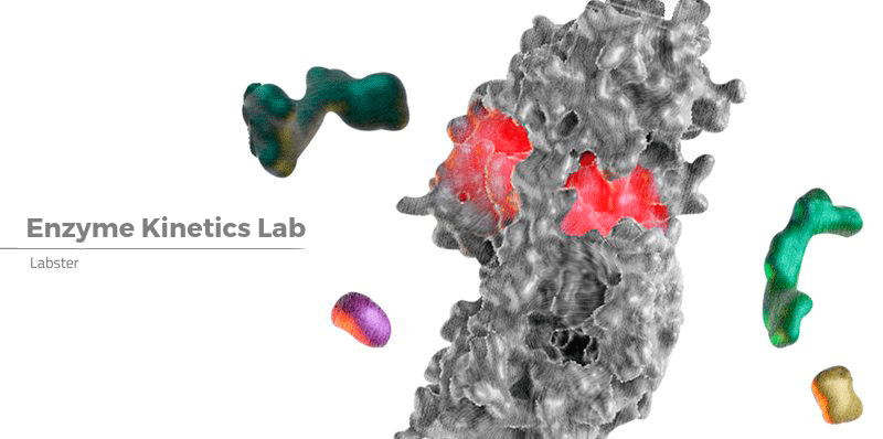 欢迎来到酶动力学案例!