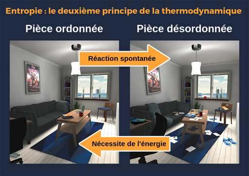 Le titre indique Entropie, deuxième loi de la thermodynamique. À gauche, l'image d'un salon bien rangé. À droite, l'image du même salon, mais en désordre, avec des papiers et des vêtements partout et des meubles non alignés. La flèche allant de rangé à désordonné indique une réaction spontanée. La flèche allant du désordonné au rangé indique que la réaction nécessite de l'énergie.