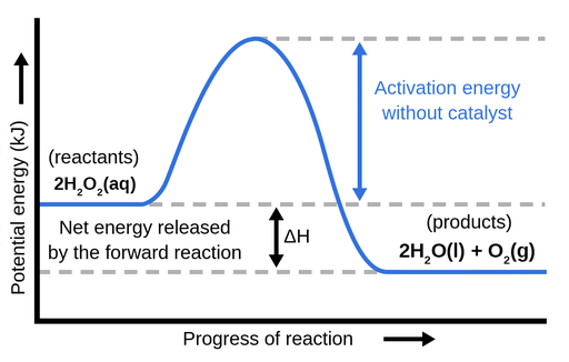 potential energy diagram with catalyst