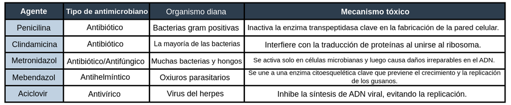 Tabla con 6 filas y 4 columnas denominadas: «agente», «tipo de antimicrobiano», «organismo diana» y «mecanismo tóxico». El primer agente, la penicilina, es un antibiótico que ataca a las bacterias gram positivas e inactiva enzimas transpeptidasas claves de la pared celular. El segundo agente, la clindamicina, es un antibiótico que ataca a la mayoría de las bacterias e interfiere en la traducción de proteínas uniéndose al ribosoma. El tercer agente, el metronidazol, es un antibiótico o antifúngico que ataca a muchas bacterias y hongos y causa daños irreparables en el ADN al activarse en las células microbianas. El cuarto agente, el mebendazol, es un antihelmíntico que ataca a las lombrices intestinales al unirse a la enzima citoesqueletal clave, evitando el crecimiento y la replicación de las lombrices. El último agente, el aciclovir, es un antiviral que ataca al virus del herpes inhibiendo la síntesis del ADN viral y evitando la replicación.