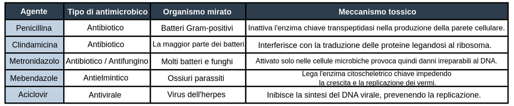Tabella con 6 righe e quattro colonne chiamate: 