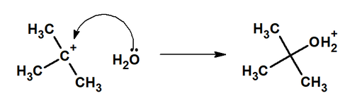 叔碳正离子与水分子的反应机理。一个带有整个箭头的卷曲箭头是从氢氧上的孤对碳到叔碳正离子上的带正电荷的碳。正向反应用一个指向生成物的箭头表示。氧现在连着碳但是带一个正电荷