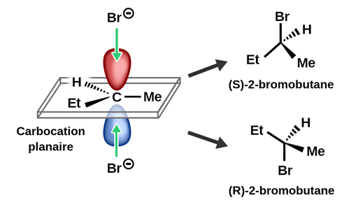 联合国Carbocation Planaire A 3 GroupesRattachés：UnHydrogène，UNGroupeéthyle等UNGroupeméthyle。LeGroupeéthyles'approche de nous et estextensentéparenenisentéantefelenisentéfunéiforme。L'Oreome d'hydrogènes'éloignede nous et entextesentépareneniseNisensentéFareNienceenCunéifaleenPointillés。l'阴离子溴果实attaquer par dessus ou par dessous le carbocation et donnerdesélectronsàl'orbitale p du carbocation。Les Deux Produites Qui Se Forment Sont desStéréroisomères。L'联合国Des Produits Est S 2 Bromo ButaneOùleBrome Pointe Vers Le Haut，L'ÉthylePointe Vers La Gauche et Le Bas，L'HydrogènePointeVers L'Arrièreet le Bas，et leleméthylepointe vers l'avant etLe Bas。L'Autre Produit Est R 2 Bromo ButaneOùleBrome Pointe Vers Le Bas，L'ÉthylePointe Vers Le Haut et Vers La Gauche，L'HydrogènePointeVers L'ArrièreEtVers Le Haut，etleméthylepointe vers l'avantet Vers Le Haut。