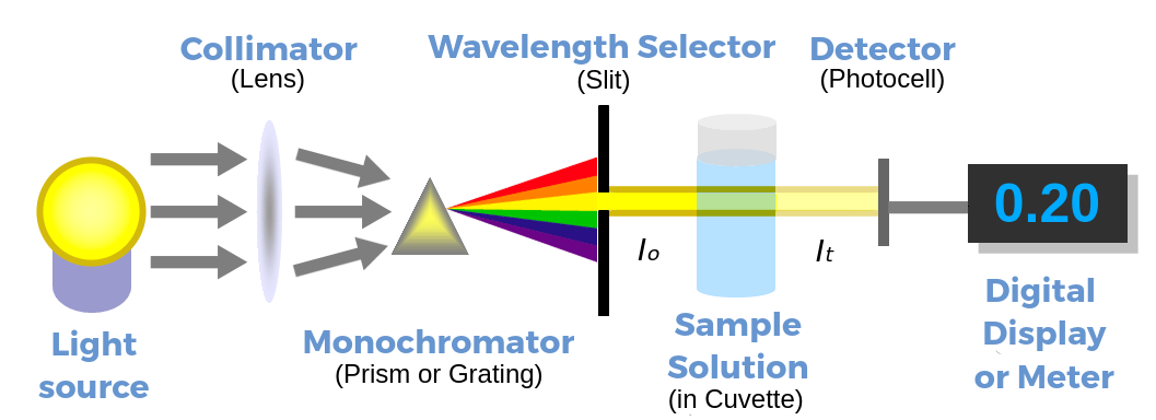 asiatisk grammatik sfærisk Spectrophotometer - Labster Theory