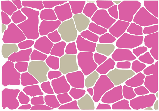 Histochemical assay of muscle fibers using the enzyme aGPD. Muscle fibers are illustrated in different shapes and sizes, laying close to each other. The glycolytic muscle fibers are colored dark pink and the non-glycolytic fibers are light colored. Most of the fibers in this illustration are colored dark pink and are therefore glycolytic muscle fibers