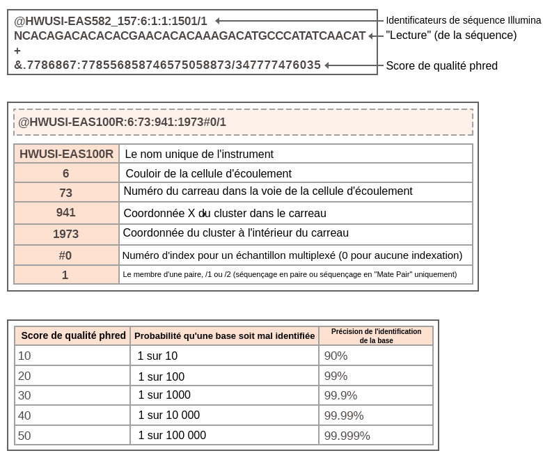 L'Analyze Primaire desDonnéesChuporte3派对。La Partie 1 Montre Les Identifiants deSéquenceillumina，LaSéquencede Lecture et le Le Score deQualitéPrentéPremitéPrecitéPreg。La Partie 2 Est UN Tableau Qui exclizeifica de Chaque Partie de L'Identifiand deSéquenceillumina H W U S I A S 100 R，6,73,941,1973，Dièse0,191,010，1。Le Nom独特的De L'Instrument EstIndiquéAuSuféBut。elsuite，6 Est LaRangéede laCelluled'écoulement。73 Est LeNumérodeCareauDans LaRangéedaCelluled'écoulement。941 Est LaCoordonnéeX de L'Amas Dans Le Carreau。1973年Est LaCoordonnéeyy de l'Amas Dans Le Carreau。Dièse0 EST L'Indice PounUnéchantillonmultiplexéet0 signifie pas d'指数。1 EST LE MEMBRE D'UNE PAIRE POUR LESÉQUENÇAGENENFAIRE OU EN EN MATE PATE SEUREMENT。La Partie 3 Est Un Tableau Avec des Colonnes倒入Le Score dePromitéPremitéPhred。 La probabilité qu'une base soit mal identifiée et la précision de l'identification de la base. Un score de qualité phred de 10 représente la probabilité d'une identification incorrecte de la base de 1 sur 10, et une précision de l'identification de la base de 90 %. Plus le score de qualité phred augmente, plus la probabilité d'une identification incorrecte de la base diminue et plus la précision de l'identification de la base augmente. Pour un score de qualité phred de 50, la probabilité d'une identification incorrecte de la base est de 1 sur 100 000, et la précision de l'identification de la base est de 99,9 %.