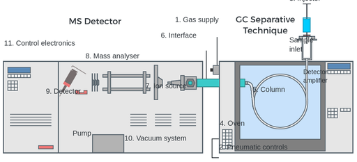 Gas Chromatography Mass Spectrometry GC MS Labster