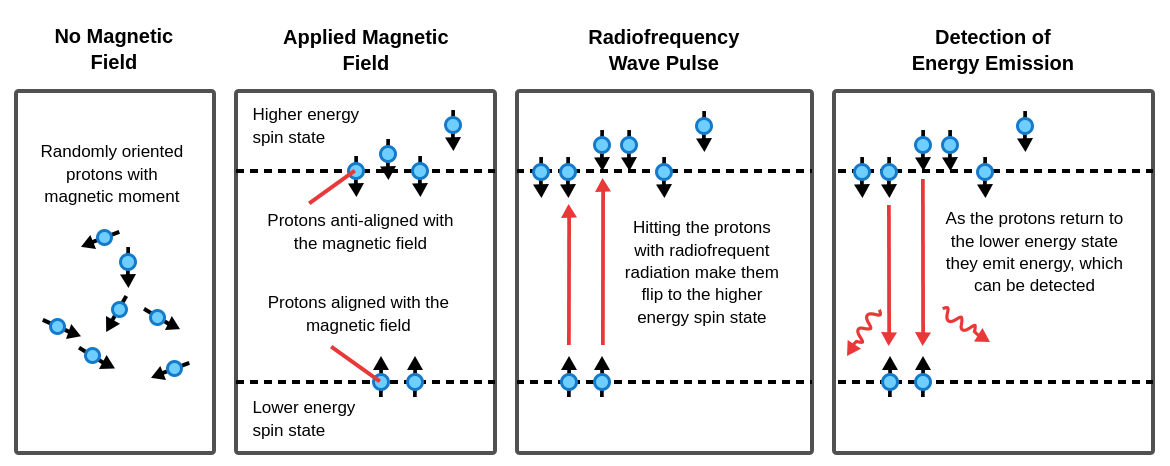 nmr principle