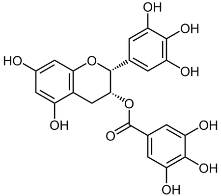 Chemical structure of epigallocatechin consists of epigallocatechin bound with ester bond to gallic acid. Epigallocatechin belongs to the catechin family with two benzene rings and a dihydropyran heterocycle with hydroxyl group on carbon 3 - here bound to gallic acid by ester bond. Gallic acid is a trihydroxybenzoic acid and belongs to a family of phenolic acids.