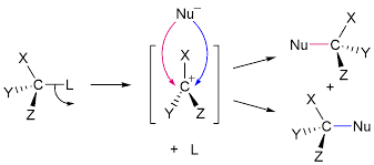 A carbon atom is bonded to a leaving group and 3 unknown groups labeled X, Y, and Z. Donation of electrons is shown with curly arrows. The electrons in the bond between the carbon and leaving group are donated to the leaving group. This forms a carbocation intermediate. The negatively charged nucleophile can attack from either side of the planar carbocation. The two products formed both have a carbon bonded to a nucleophile and 3 unknown groups. The difference between the two products is their stereochemistry.