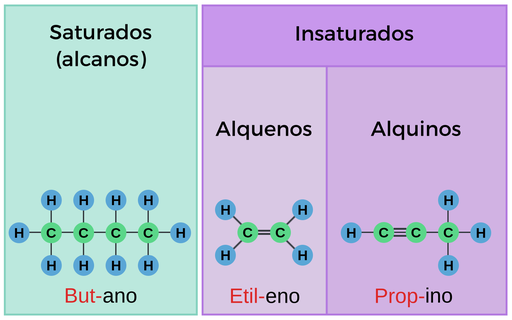 El butano, C H 3, C H 2, C H 2, C H 3, es un alcano. El prefijo del butano es B, U, T, y significa que la molécula tiene 4 átomos de carbono en su cadena de carbono más larga. El eteno, C H 2, C H 2, es un alqueno. El prefijo del etileno es E, T, y quiere decir que la molécula tiene 2 átomos de carbono en su cadena más larga de carbono. El propino, C H, C, C H 3, es un alquino. El prefijo del propino es P, R, O, P, y significa que la molécula tiene 3 átomos de carbono en su cadena de carbono más larga.