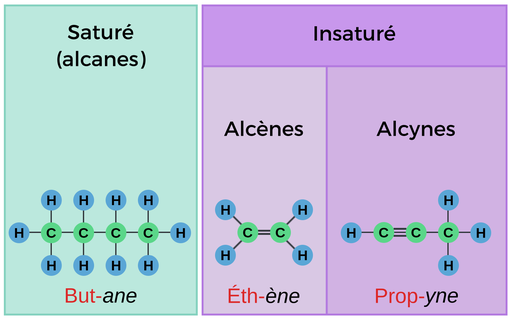 Le丁烷，C H 3，C H 2，C H 2，C H 3，EST UN Alcane。LePréfixedu Butane Est B，U，T，Et Signifie Que LaMoverède4atomes de Carbone Dans LaChaîneDeCarboneLa Plus Love。L'Éthylène，C H 2，C H 2，Est UnAlcène。LePréfixedel'éthylèneeste，t，h，et signifie que laMoléculepossède2atomes de carbone de carbone dans lachaînede carbone la plus love。Le Propyne，C H，C，C H 3，Est Un Alcyne。lepréfixedu propyne est p，r，o，p，et signifie que lamoléculepossède3atomes de carbone de carbone dans lachaînede carbone la plus love。