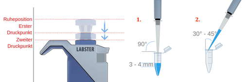 Links die ruheposition，der erste druckpunkt和der zweite druckpunkt des pipettenkolbens。死亡的abgabeposition iSt中性位置des Kolbens，weitesten vompipettenkörperentfernt ist。Durchanfänglichendruck auf den kolben wird dieser zum zum eresten druckpunkt bewegt，dernäherampipettenkörperliegt，ihn aber noch noch noch nichtnichtBerührt。Der Zweite Druckpunkt Ist Erreicht，Wenn der Kolben bis ganz an den denpipettenkörperGedrücktwird。alsnächstesfolgt die positireung der ofteTefürdie aufnahme und abgabevonflüssigkeiten。Zum Aufnehmen einerflüssigkeitiSt die oftette senkrecht zuroberflächederaufzunehmendenflüssigkeitabgebildet。FürDie abgabe einerflüssigkeitiSt iSt在Einem 45级 - 盎格鲁式Zu einer seinite desaufnahmebehältersgeneigt geneigt dargestellt。