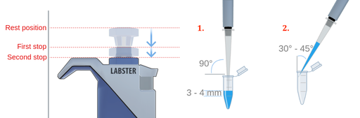 在左侧，静止位置，第一站和移液管柱塞的第二站。释放位置是远离移液管的主体最远的中性柱塞位置。按下柱塞部分的方式将移动到第一个停止，这是更靠近移液管的但尚未触摸它。当柱塞被压到移液管的主体时，达到第二止点。接下来，移液器的定位用于拾取和释放液体。为了向上抽取液体，移液管垂直于被拾取的液体表面示出。为了释放液体，移液管以45度角到接收容器的一侧示出。