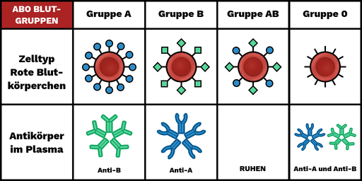 Blutgruppensystem Labster Theory