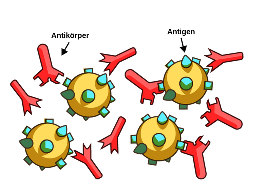 AntikörperAntigenKomplex Labster