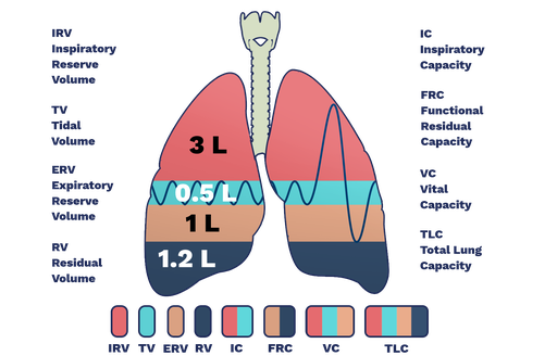 dead space in lungs tidal volume