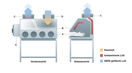 auf der vorderseite befinden sich vierhandschuhöffnungenfürden zugang zu zu den armen，ein sichtfenster und zwei und zwei filter a der oberseite，ein hepa-abluft- und ein hepa-zuluftfilter。auf der linken seite befindet sich eine luftschleuse。Die Arme Treten Durch DieHandschuhöfffnungenEin，Die Kontaminierte luft trifft auf die behandschuhten arme und wird wird aufderrückseitezum zum zum oberen hepa-abluftfilter gepumpt，wo sie die die die die kammermverlässt。hepa-gefilterte luftströmtdurch den hepa-zuluftfilter an der oberseite ein。