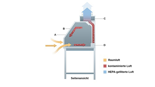 Die Raumluft strömt von vorne in die Werkbank, wird in der Werkbank kontaminiert und zirkuliert in der Werkbank, bis sie durch die Abluftkammer an der Rückseite und nach oben gesaugt wird, wo sie durch einen HEPA-Filter austritt.