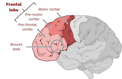 Frontal outlet