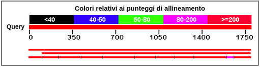 Punteggio di Allineamento Codificato一个Colori