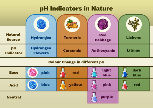 pH: Concepts, pH Indicators, Examples with Questions & Videos