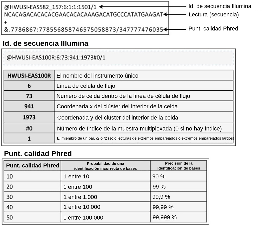 En la parte superior de los resultados, se muestran los identificadores de la secuencia de Illumina. A continuación, se muestra la lectura, o secuencia de nucleótidos. Debajo de la lectura se muestra una puntuación de calidad Phred. Los identificadores de secuencia de Illumina consisten en números y letras que representan el nombre del instrumento, el número de célula de flujo, la celda y las coordenadas dentro de la celda. La puntuación de calidad Phred es un número del 10 al 50, en el que el 10 indica un 90 % de precisión en la identificación de bases y el 50 un 99,999 %.