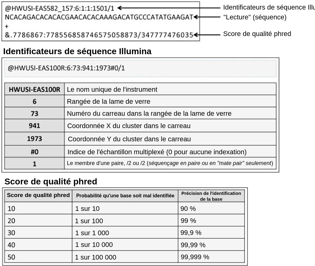 en HautdesRésultats，Des Indififiants deSéquenceilluminasontfichés。La讲座，OuSéquenceDeMcléotides，Est KiduiteAffichée。联合国得分DeMeticietéPhredEstAffichéSousLa讲座。Les Identifiants deSéquenceillumina sontcomposésde chiffres et de Lettres QuiReprésententLe Nom de L'Instrument，LeNumérodelaCelleuled'écoulement，Le Carreau et LesCoordonnéesDansLeCareau。Le Score DeMetalitéPhredEst Un Nombre de10à50，10符合corresponduneprécisiond'appelde base de 90％et 50常用剂à99,999％。
