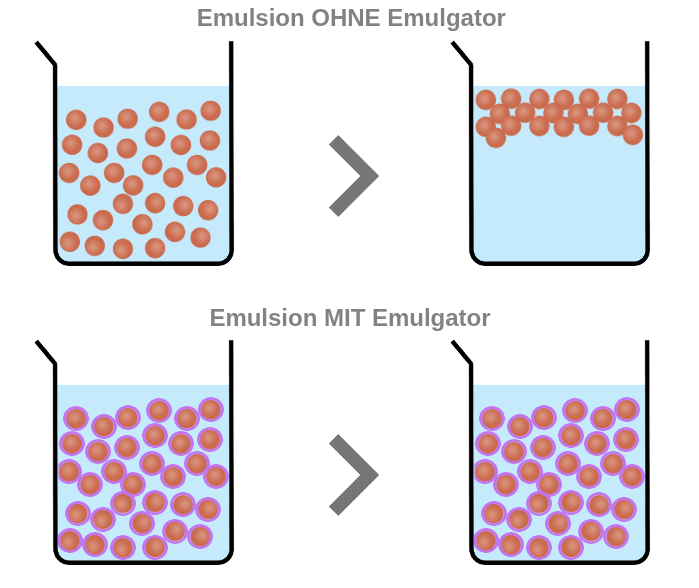 Emulgatoren Labster Theory