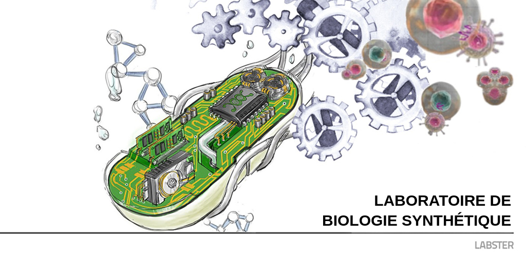 Bienvenue dans la simulation sur la biologie de synthèse Labster Theory