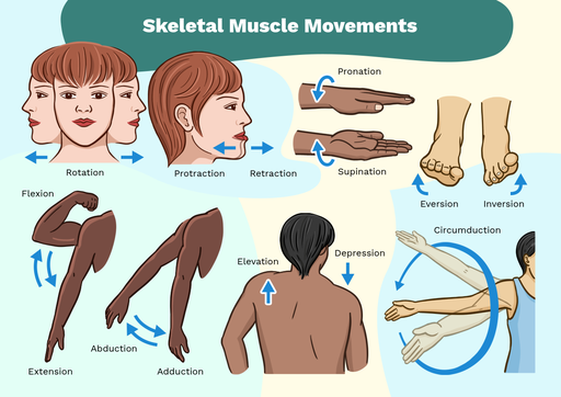 body-movements-labster