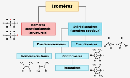 Introduction à la stéréochimie - Labster