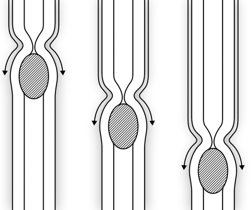 食物通过3根管子进入食道。管子在食物上方向内挤压。在第一根管子里，食物在顶部，然后在第二根管子里，食物在中间，然后在第三根管子里，食物在接近底部。