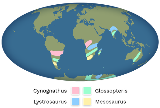 continental drift theory fossil evidence