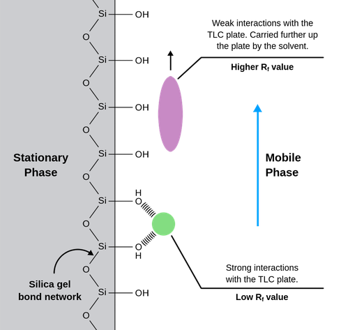 A pictorial diagram representing the interactions on the surface of the TLC plate. The grey surface labeled stationary phase, shows a network of silica, with a central silicon atom bridged to two others via an oxygen bond either side, and an OH group attached to it’s axial position. This repeating framework is labeled silica gel bond network. A green circle, representing a polar compound, has two wedged intermolecular bonds with the surface OH groups. This is labeled strong interactions with the TLC plate, Low Rf value. Further up the plate, a pink oval, representing a non-polar compound, has no interactions with the surface OH groups. It is labelled Weak interactions with the TLC plate, carried further up the plate by the solvent, Higher Rf value. An arrow is drawn from the pink oval pointing up the plate - indicating the direction of travel. At the top of the diagram is a blue arrow, pointing right to left, labelled mobile phase.