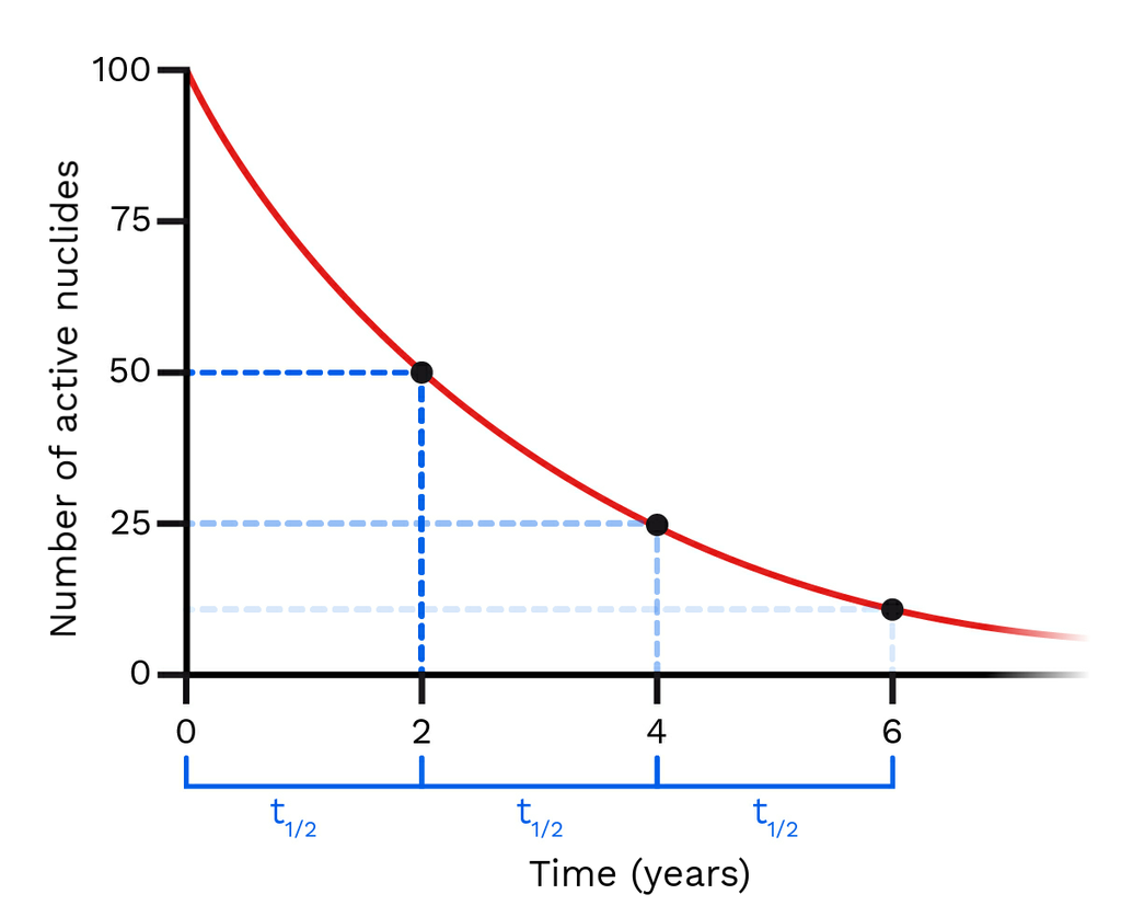 This graph depicts 'Number of active nuclides' on the y axis and 'Time in Years' on the x-axis. It is an activity graph showing the exponential decay of activity in a sample. A long red line starts off at t = 0 at 100% and exponentially decays towards 0 as time progresses. There are three key points marked on the graph. 50% after 2 years, 25% after 4 years, and 12.5% after 6 years. Along the x-axis a period of time marked t half is drawn three times between 0 and 2 years, 2 and 4 years, and 4 and 6 years.